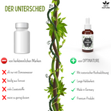 DMSO Lösung 3%